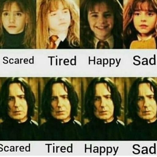 Goodnight Potter Heads 💤💤 #harrypotter #hermionegranger #severussnape # ...