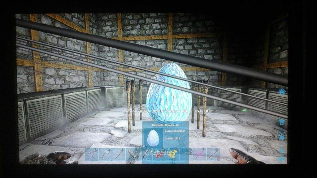 hatching dilo eggs ark