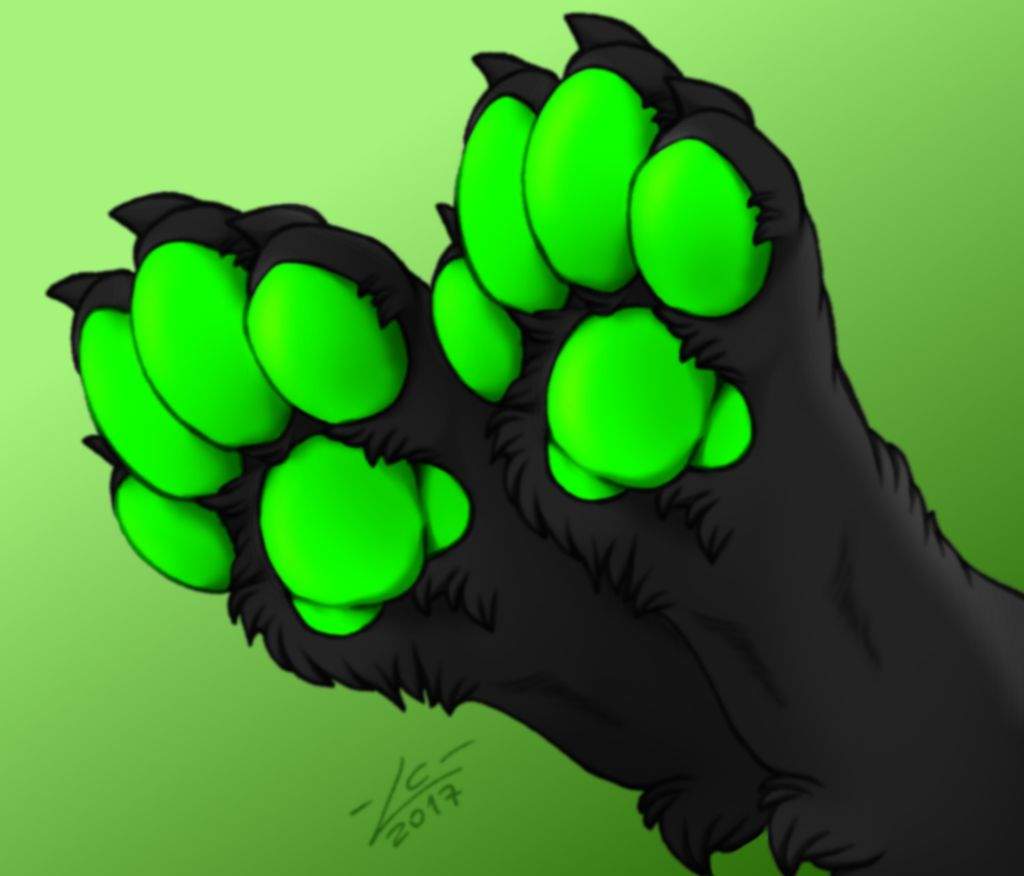 🐾 Fluffy Paws Ych 🐾 Only 8 Furry Amino