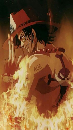 Ace et luffy | Wiki | Anime Amino