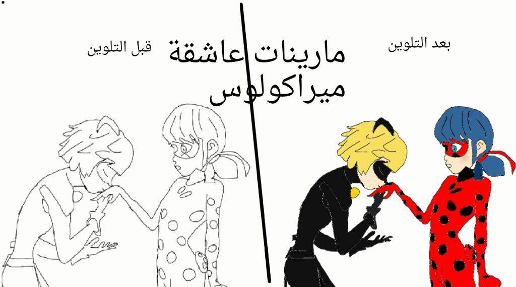 رسمتي للدعسوقة والقط الاسود 2 بعد التلوين Miraculous Arabic Amino