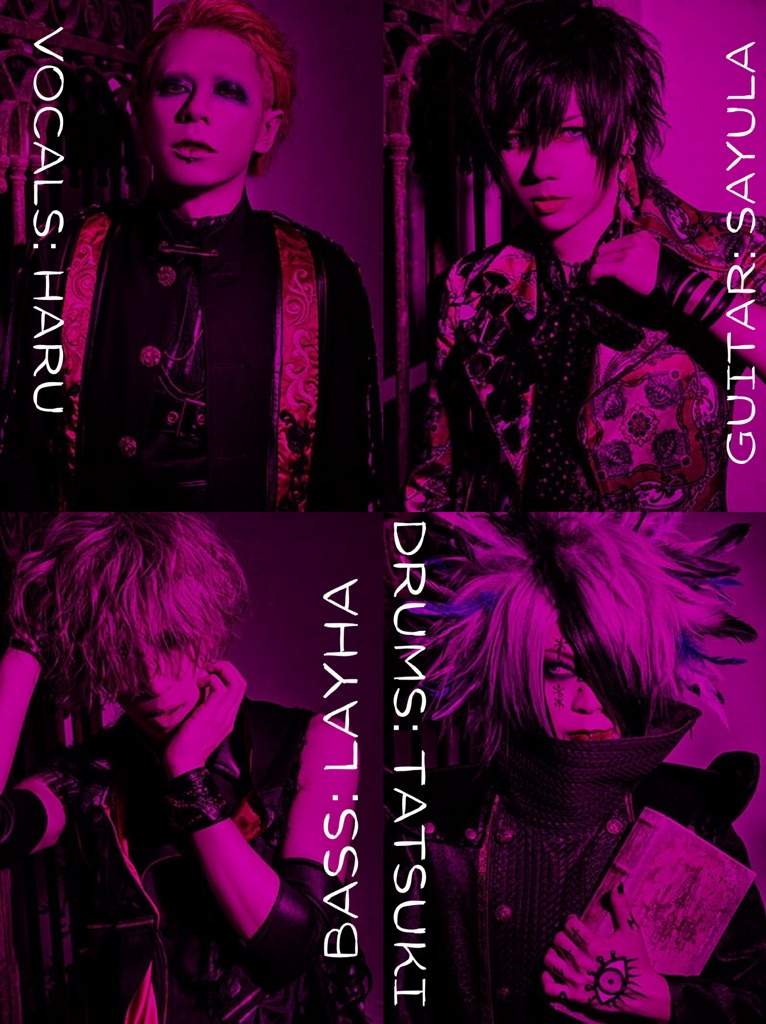 Artist Of The Month Acid Black Cherry J Rock Amino Amino