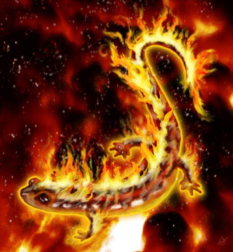 fire salamander elemental