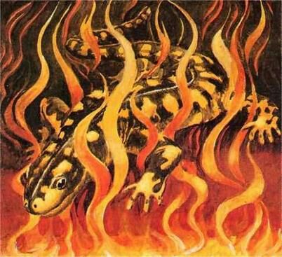 fire salamander elemental