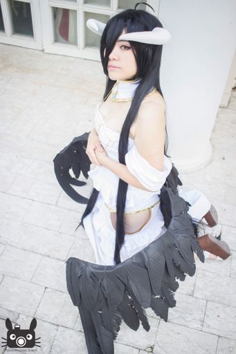 Missing Albedo Photo | Cosplay Amino