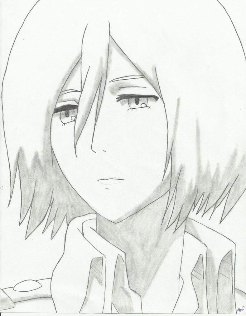 Mikasa sketch | Attack On Titan Amino