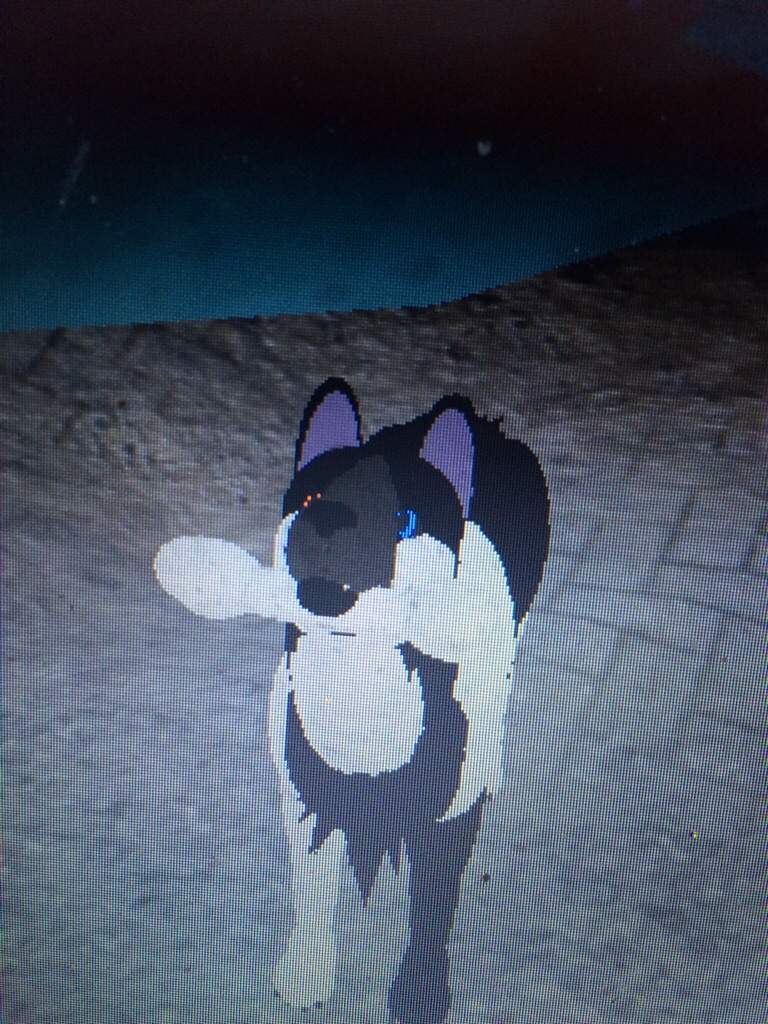 Roblox Wolf Tail
