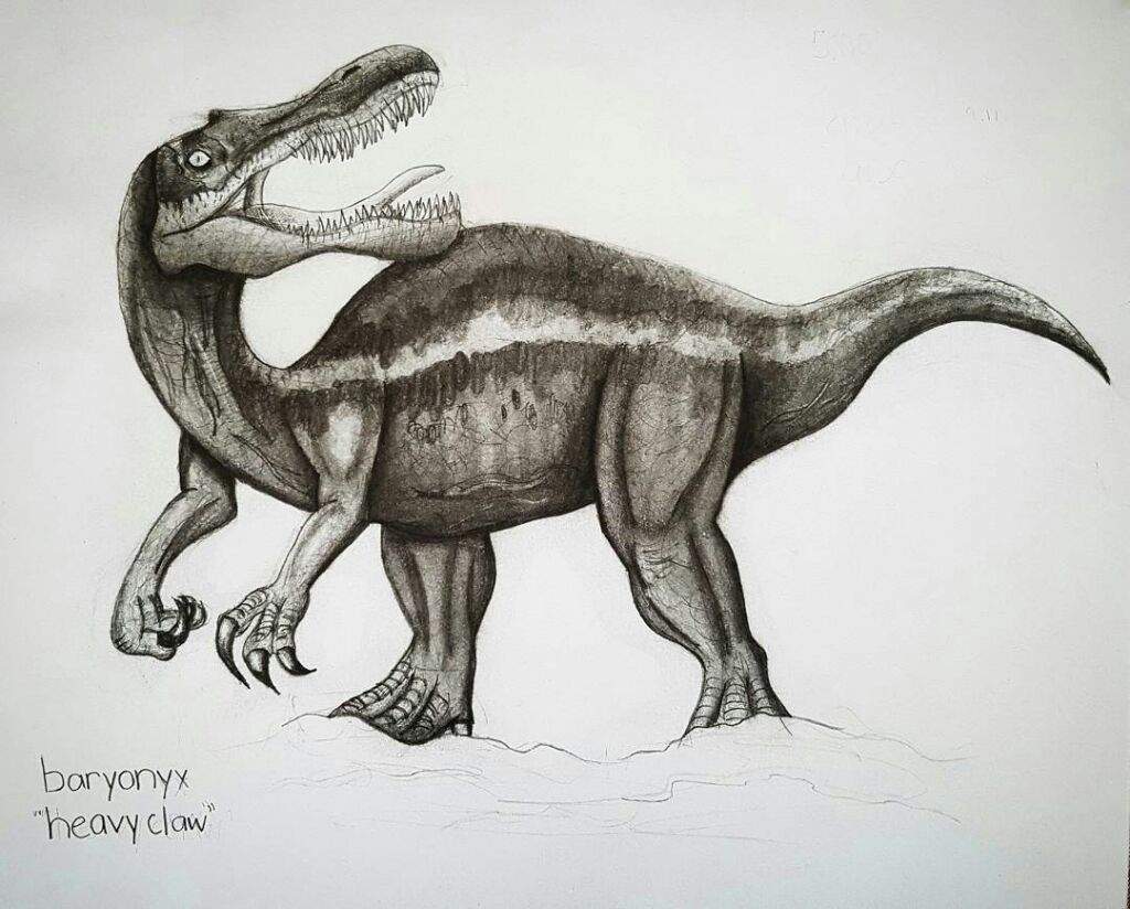Baryonyx Drawing! Jurassic Park Amino