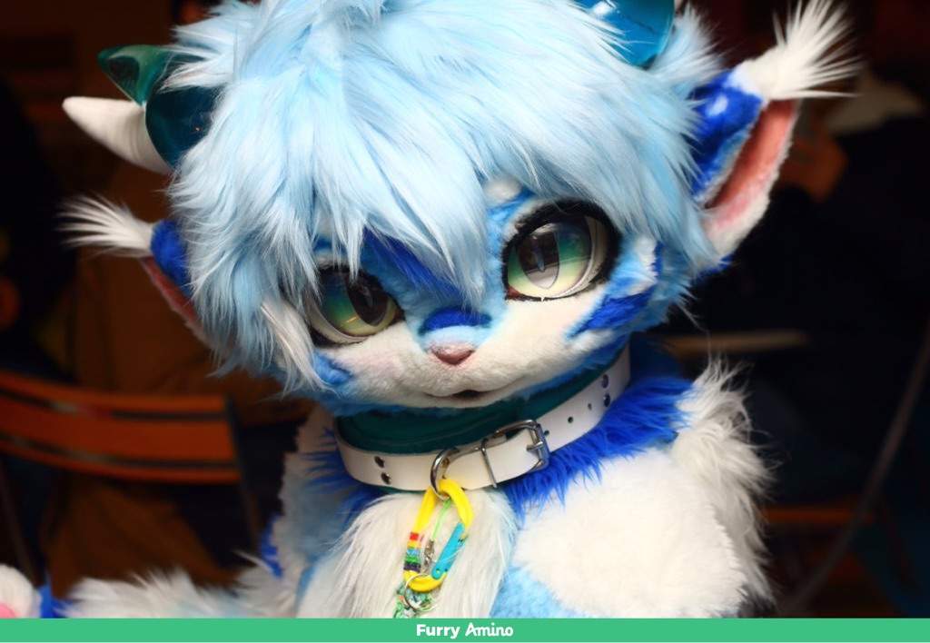 Fursuit Makers! | Wiki | Furry Amino