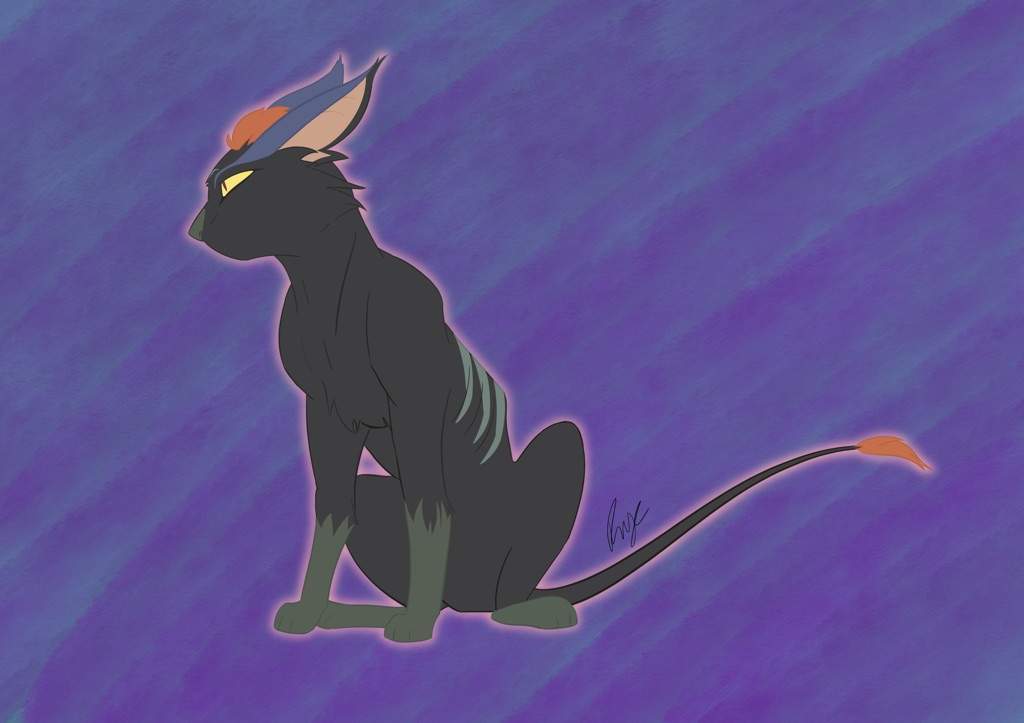 Kova Kitty | Voltron Amino