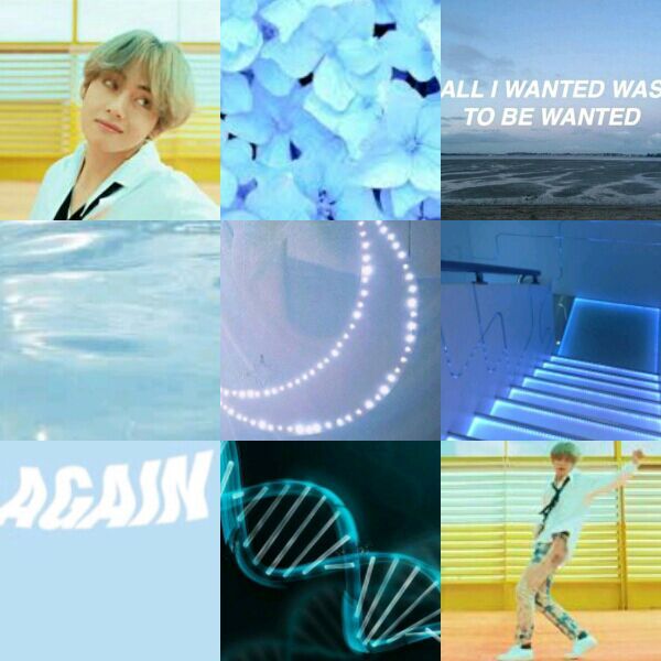 Bts dna aesthetics | ARMY's Amino