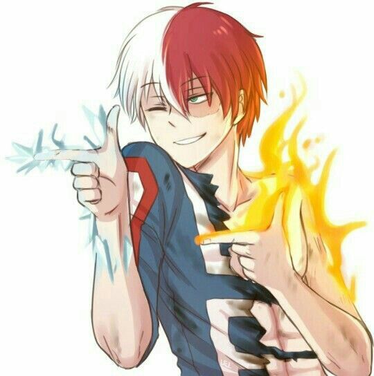 Kuvahaun tulos haulle todoroki shoto