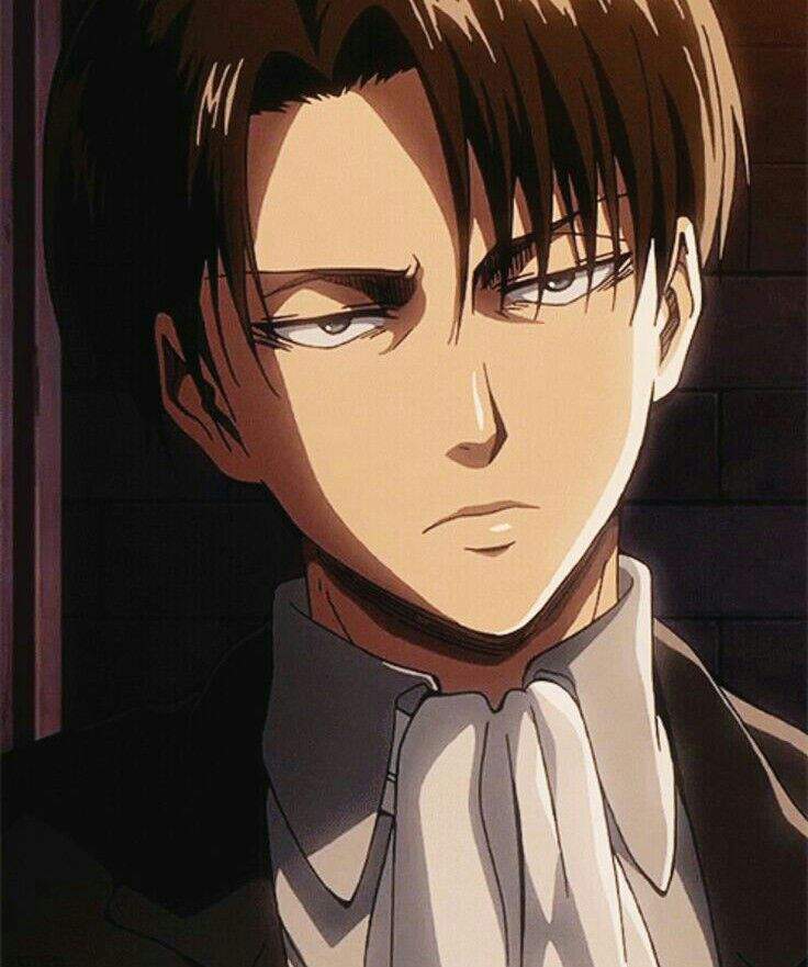 Levi Ackerman | Wiki | Universal Amino® Amino