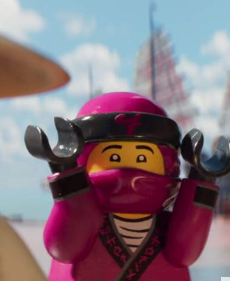 the lego ninjago movie fuchsia ninja