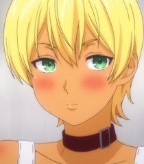 🍖Ikumi Mito (Nikumi) | Wiki | Food Wars Amino