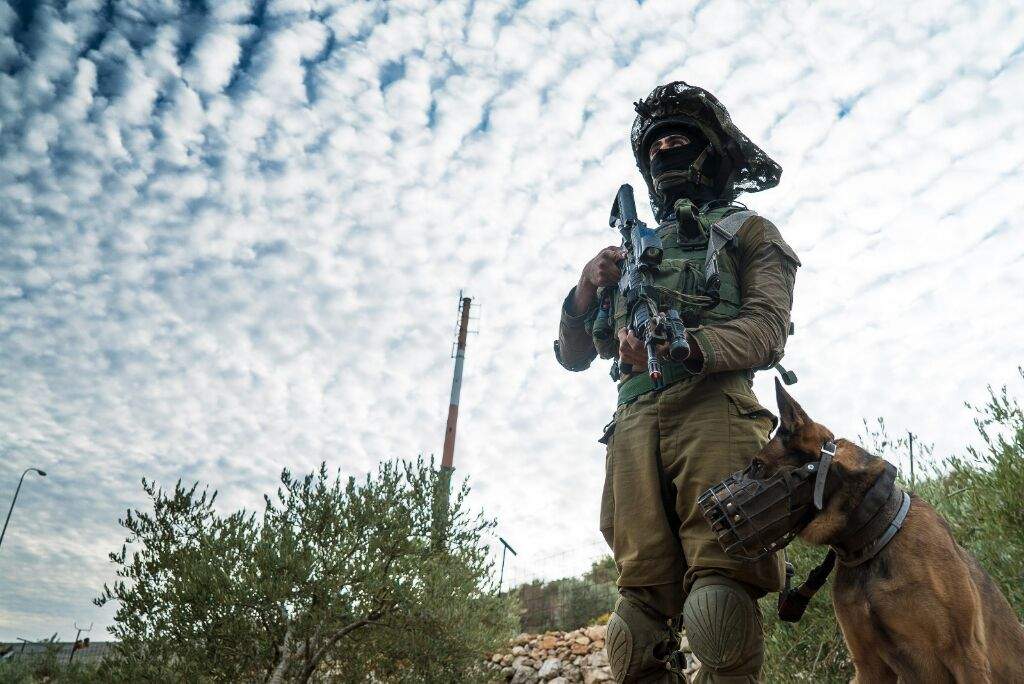 israeli-special-forces-military-amino-amino