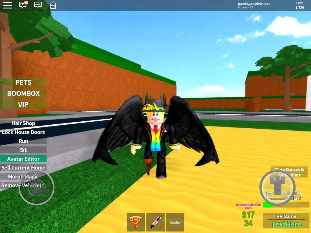 Tis Is My Future Look Without Black Wings Angel Wings Roblox Amino