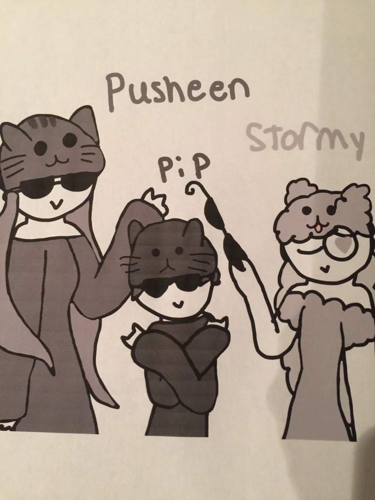 pusheen and stormy