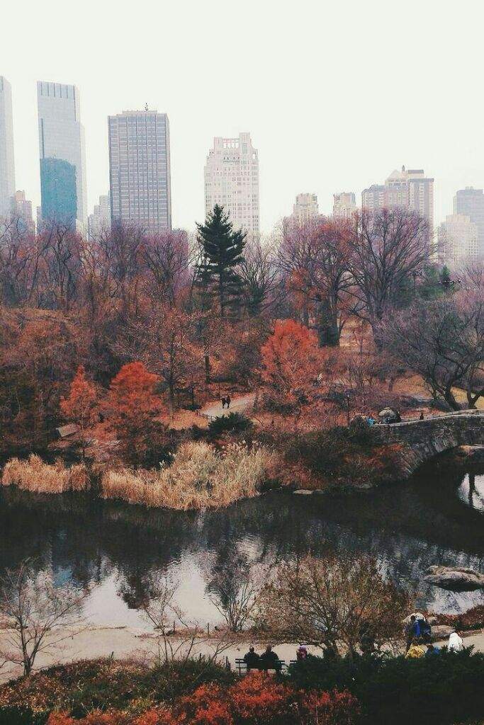 Autumn/Fall aesthetic | ARMY's Amino