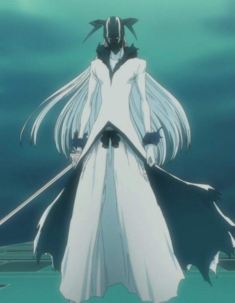 Zangetsu/ Hollow Ichigo (Shinigami powers) | Wiki | Anime Amino