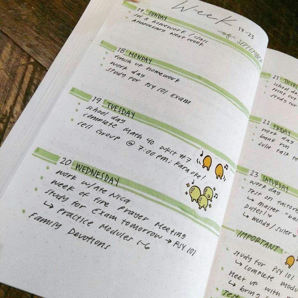 Bujo Weekly Spread | Studying Amino Amino