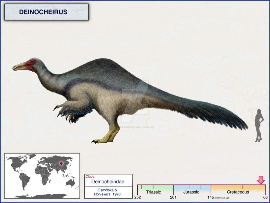 Deinocheirus | Wiki | Amino Paleontología Amino