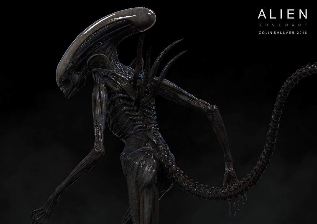 The Protomorph | Wiki | Alien Versus Predator Universe Amino