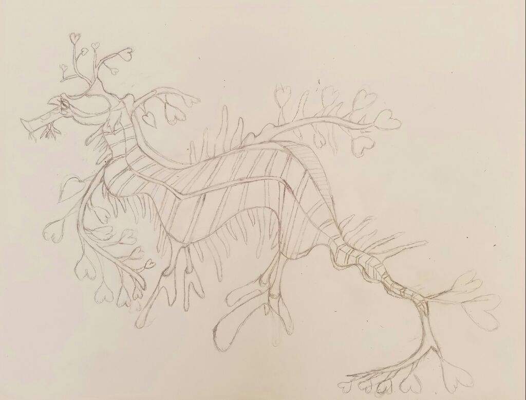 Heart Sea Dragon From Abyssrium Art Amino