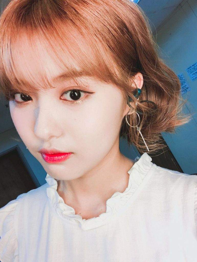 happy birthday ahin momoland amino happy birthday ahin momoland amino