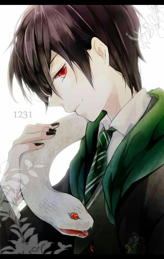 Slytherin Anime Amino