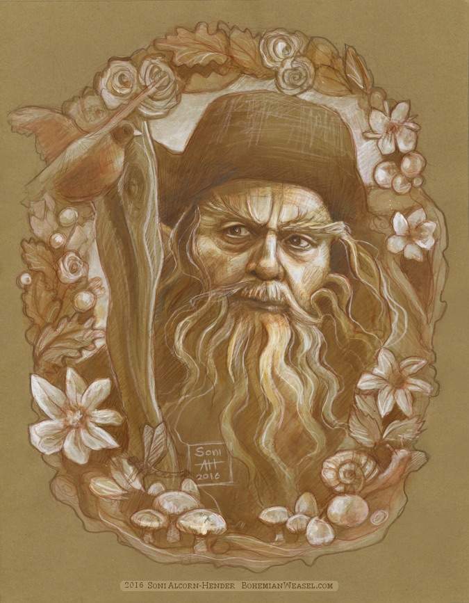 Radagast | Wiki | LOTR Amino