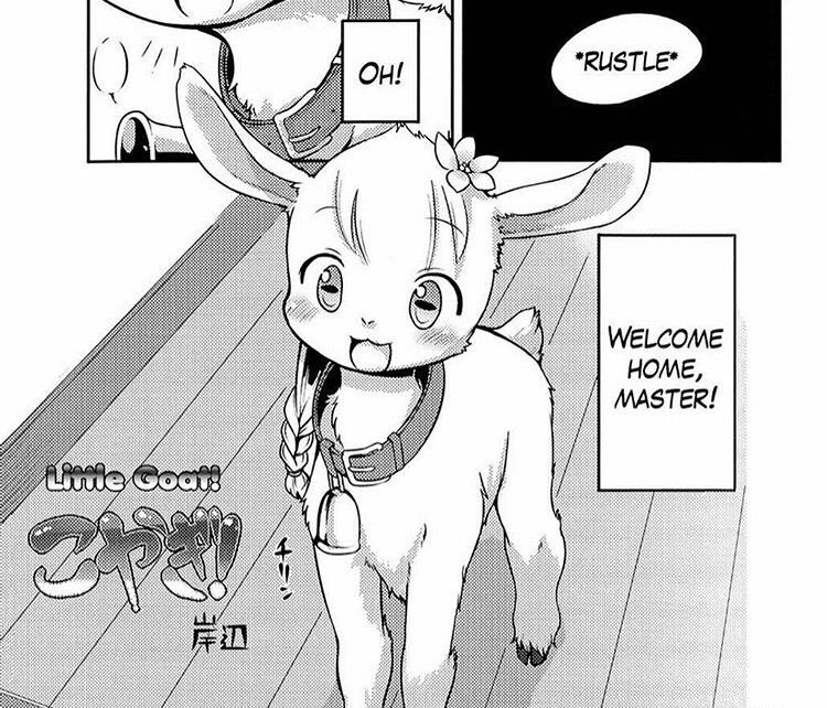 Weird Ecchi Manga Anime Amino