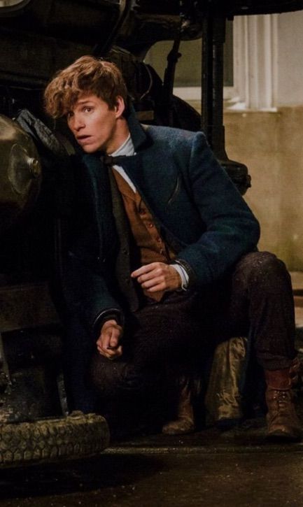 Newt Scamander Wiki Harry Potter Amino 0304