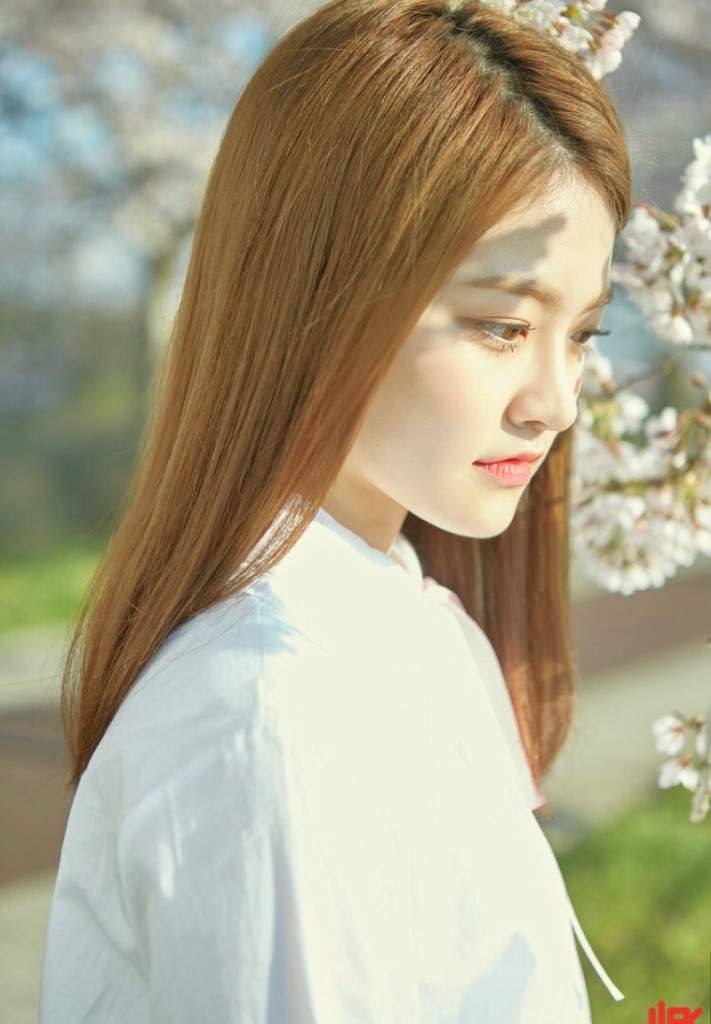 why we should appreciate ahn somyi k pop amino why we should appreciate ahn somyi k pop amino