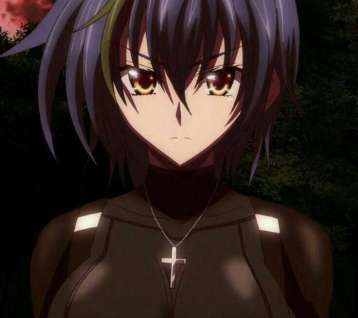Xenovia Quarta High School Dxd Amino
