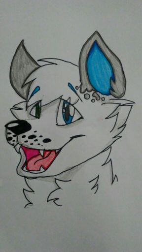 Neo | Wolf Amino Amino