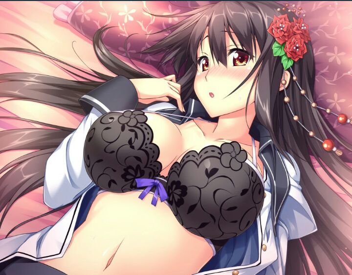 Here is some ecchi pictures.