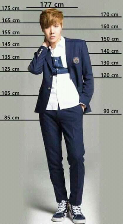 BTS height chart😜😍 | ARMY's Amino