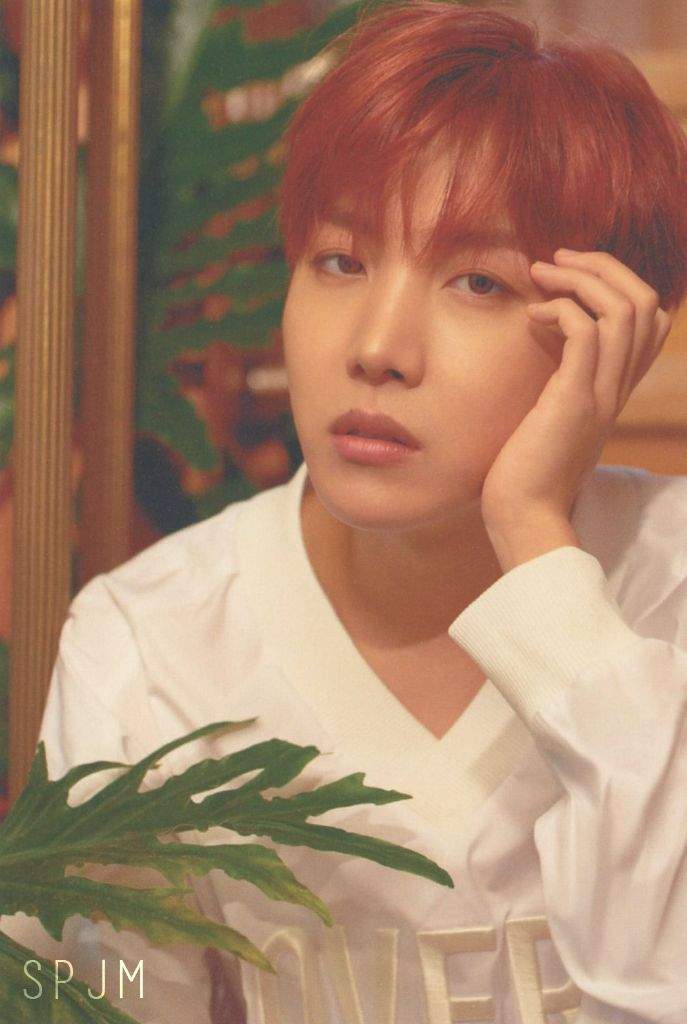 LOVE YOURSELF 'L' VERSION (J-HOPE) | ARMY's Amino