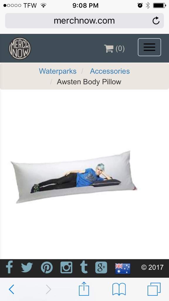 Waterparks Body Pillows Waterparks Amino