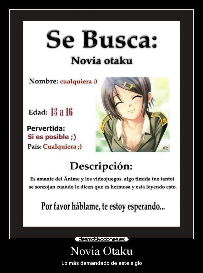 se busca novia