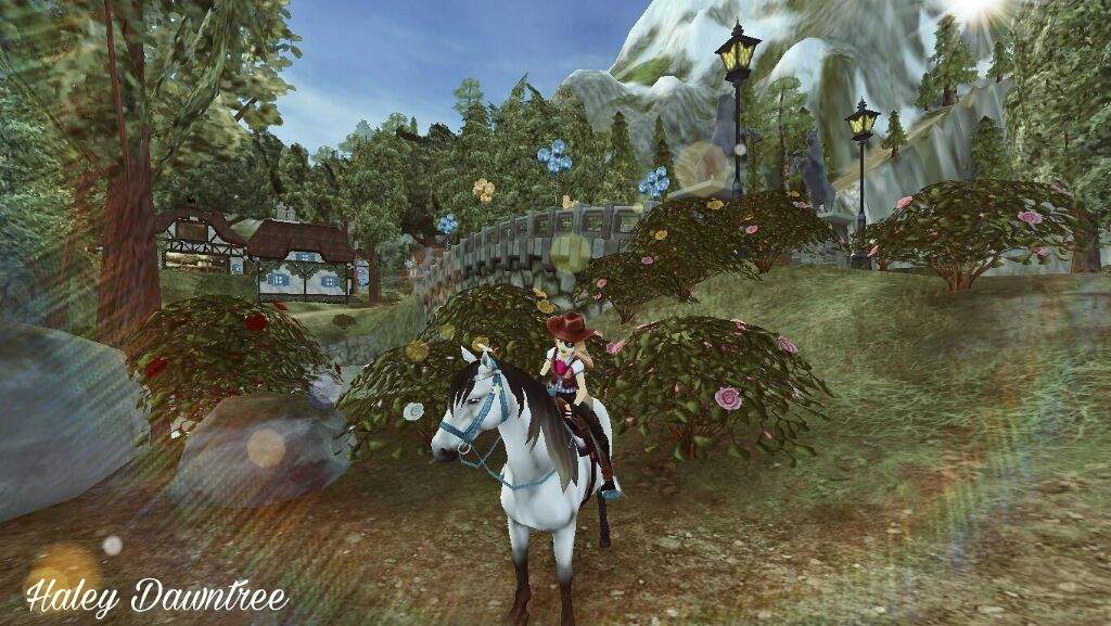 My SSO edits | Wiki | Star Stable Online Amino