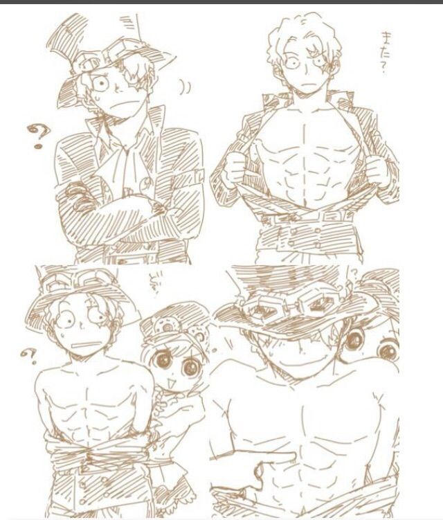 Sabo X Koala One Piece Amino