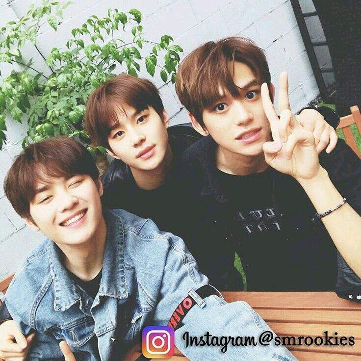 JUNGWOO Wiki 「NCT AMINO」 Amino