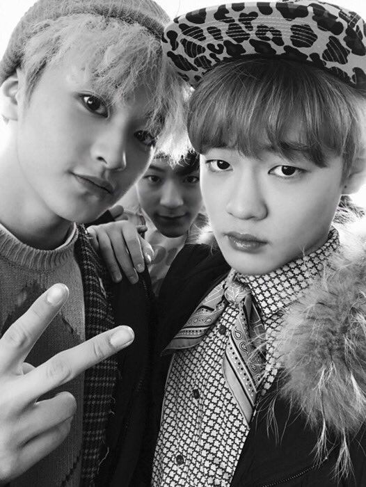 Black and White NCT Dream - An Aesthetic | NCT (엔시티) Amino