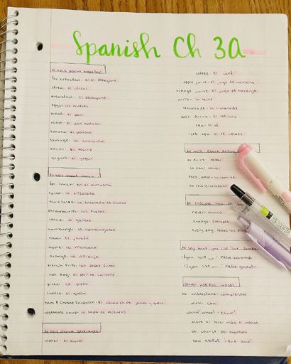 Spanish Notes Chapter 3A | Studying Amino Amino