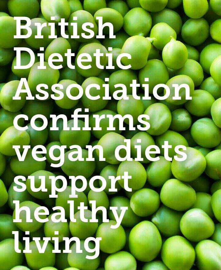 BDA Supports Veganism! | Vegan Amino