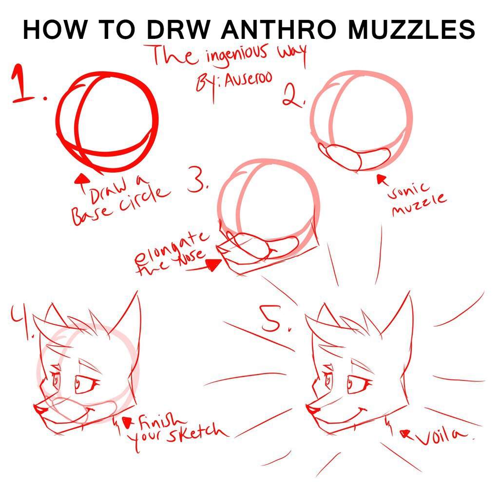 How to draw anthro muzzles for sonic artists. Furry Amino