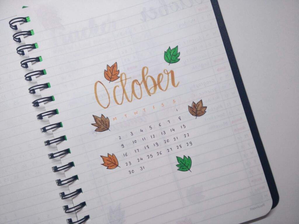 October Bujo Setup | Studying Amino Amino