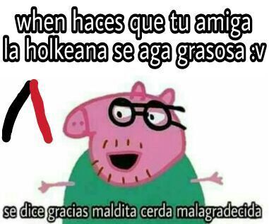 #hailgrasa | •Meme• Amino